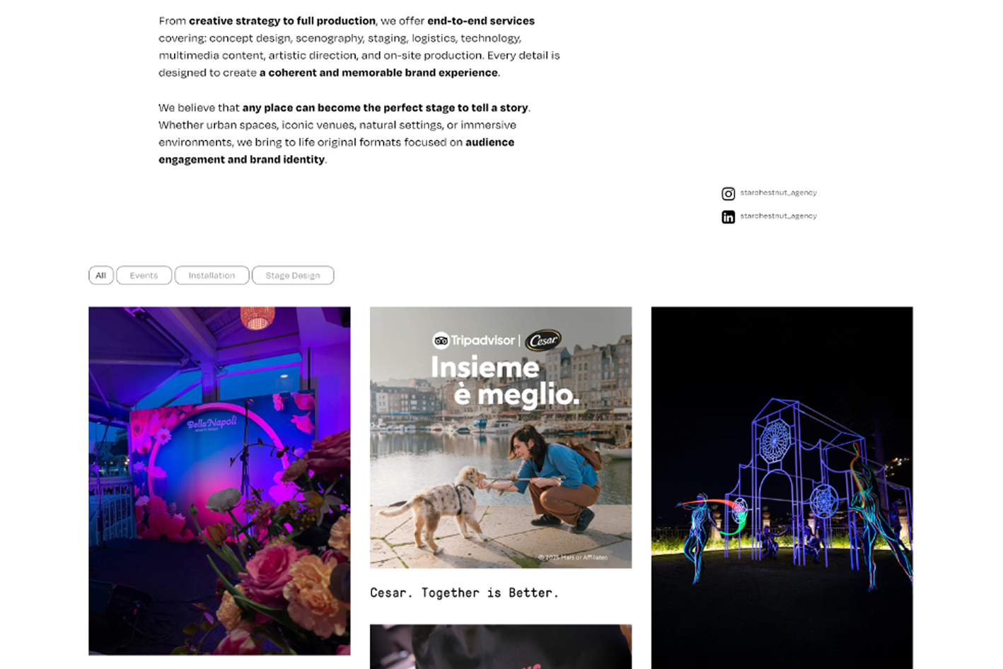 Starchestnut — Projects